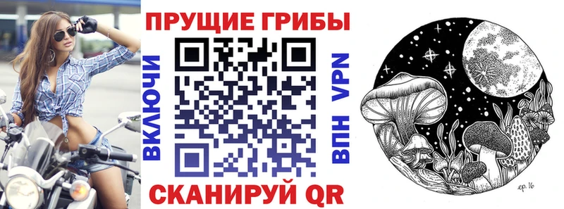 Галлюциногенные грибы Psilocybe  Купить закладки  Мантурово 